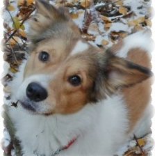 Схема вышивки «татошка»