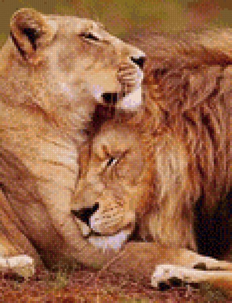 Львы - предпросмотр