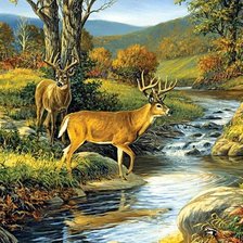 Схема вышивки «№1321796»