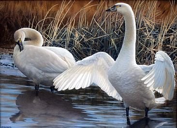 №1321989 - оригинал