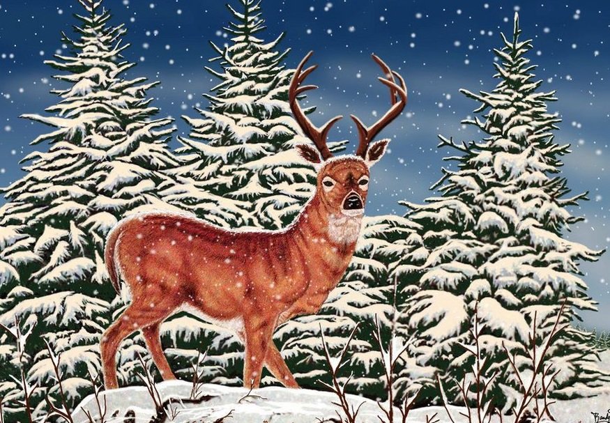 Олень - животные - оригинал