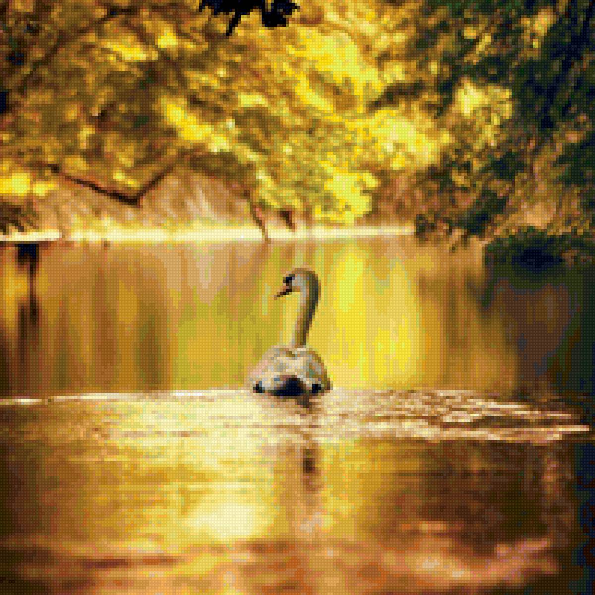 Лебедь - лебедь - предпросмотр