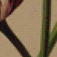 Предпросмотр схемы вышивки «Тюльпаны» (№1322131)