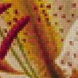 Предпросмотр схемы вышивки «лилия» (№1322253)