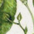 Предпросмотр схемы вышивки «Ипомея» (№1322360)