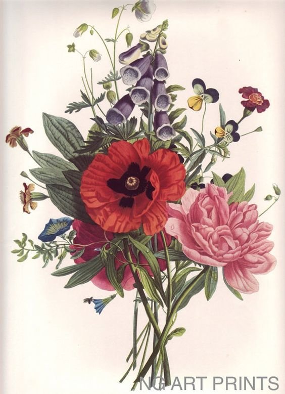 Пьер Жозе Редутт - живопись, букет, цветы - оригинал
