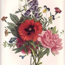 Схема вышивки «Пьер Жозе Редутт»