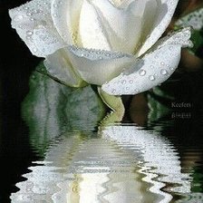 Схема вышивки «Quynh»