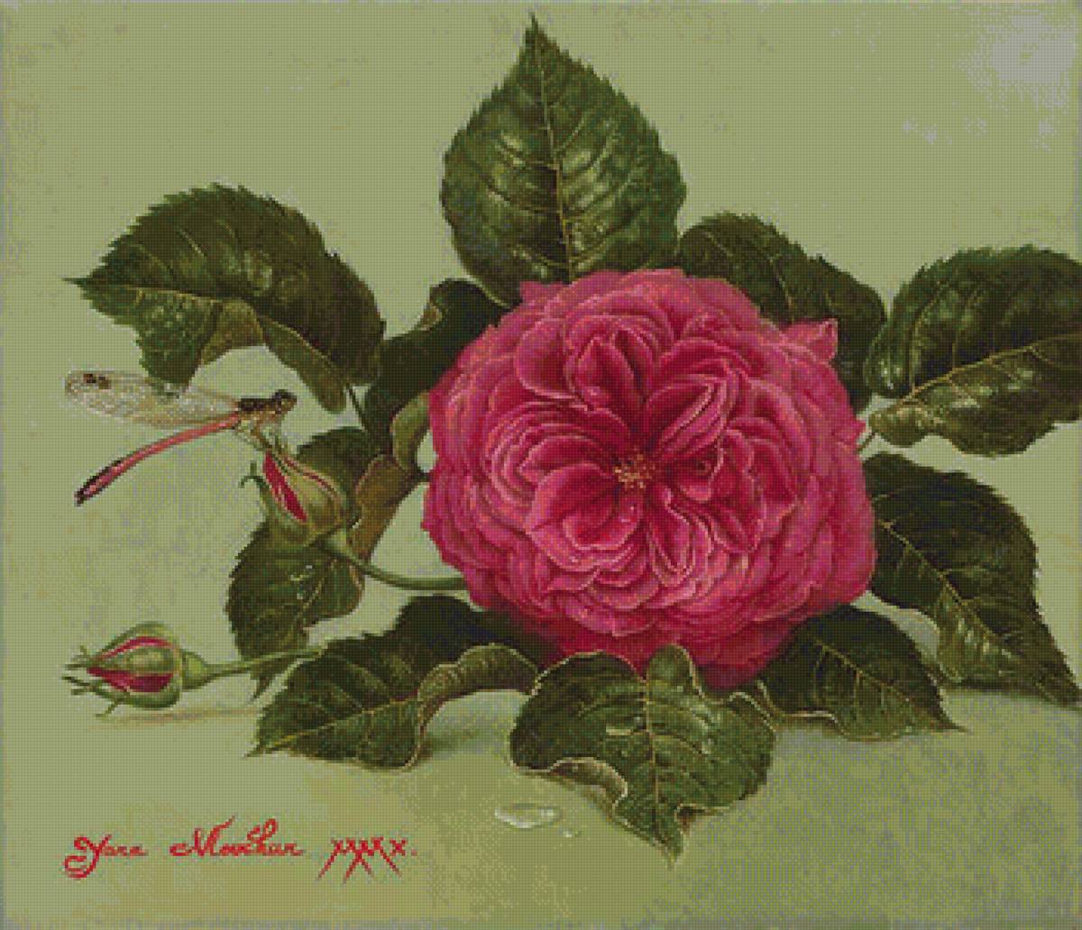 Яна Мовчан - живопись, цветы - предпросмотр