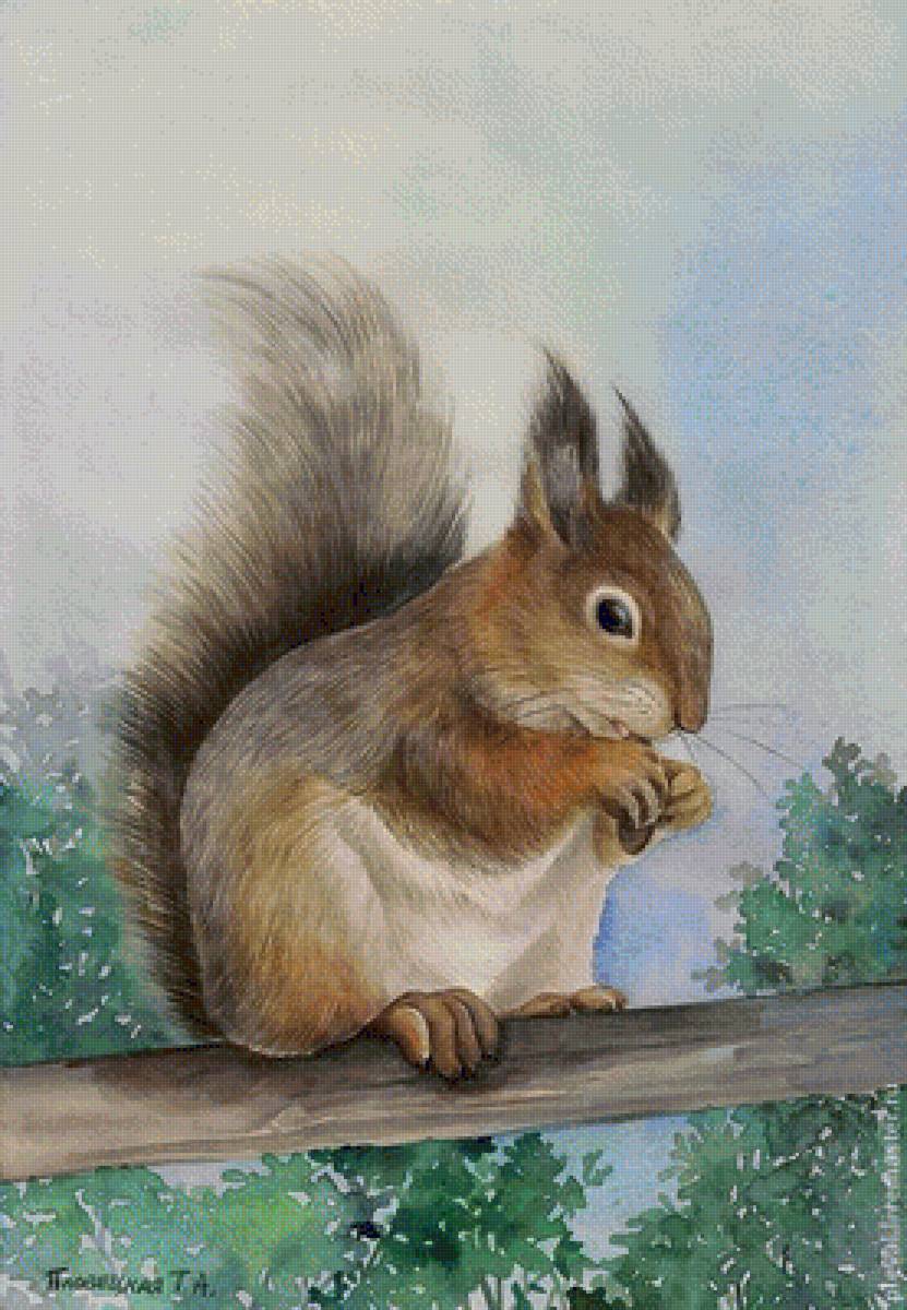 №1322886 - предпросмотр