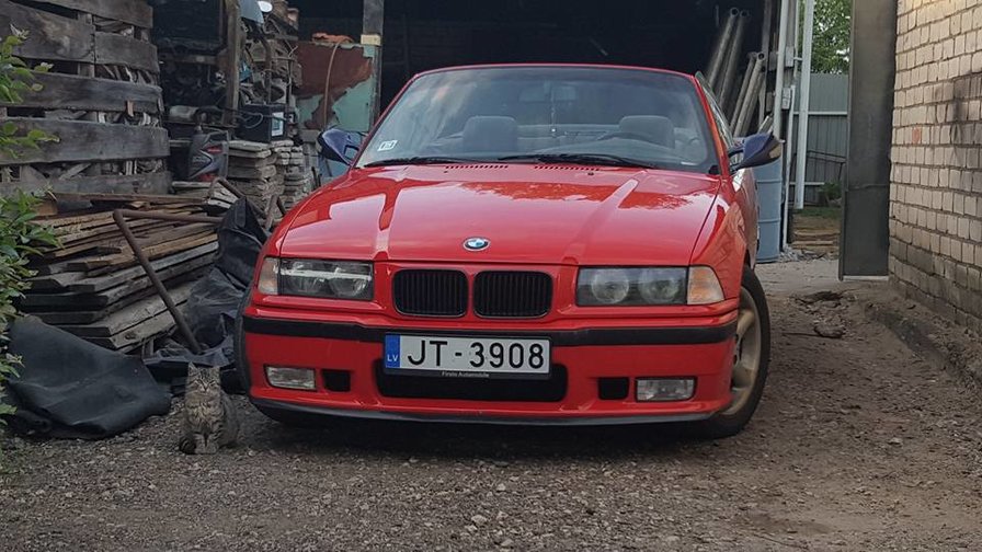 bnw - оригинал