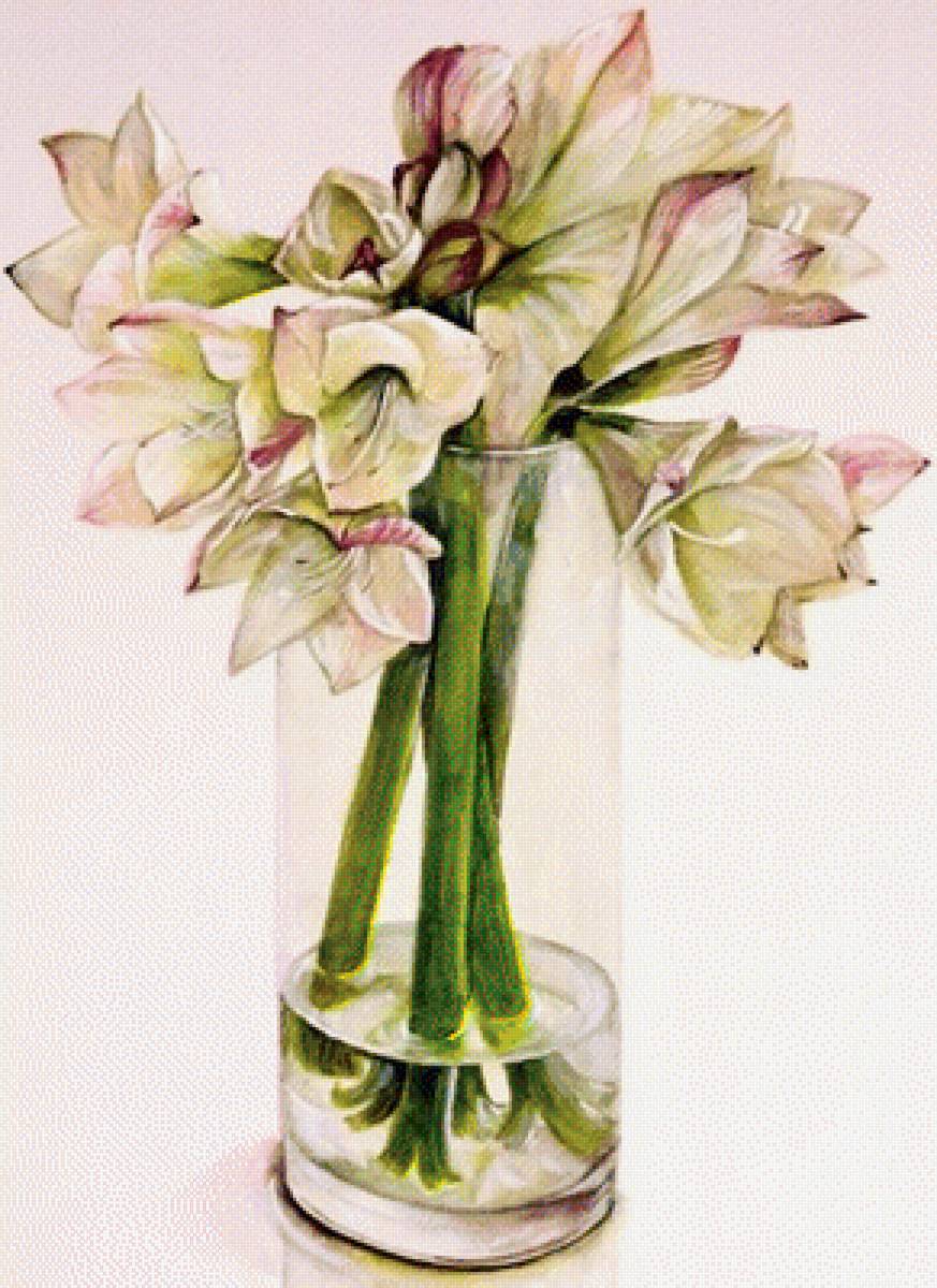 Каалы фуджико - фуджико, каалы - предпросмотр