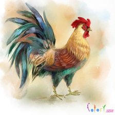 Схема вышивки «петух символ года 2017»