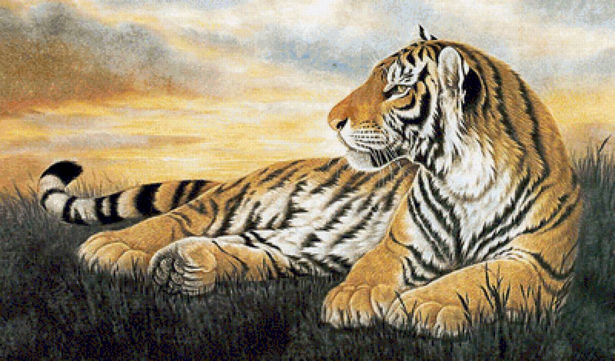 тигр - тигры, животные, тигр - предпросмотр