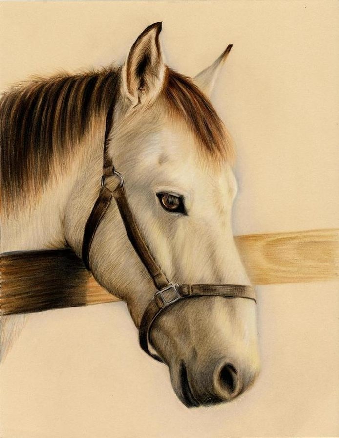 №1324509 - оригинал