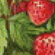Предпросмотр схемы вышивки «земляника и ромашки» (№1324548)