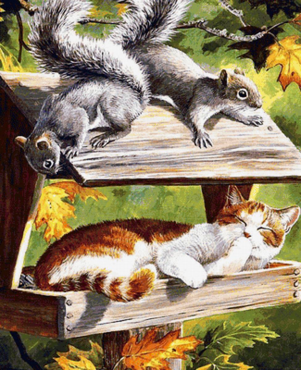 Серия "Фауна" - животные, кот, белки - предпросмотр