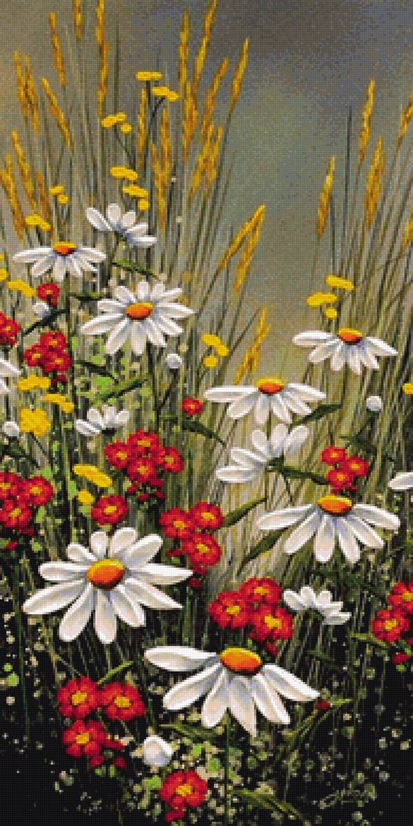 margareti,červené kvety - предпросмотр