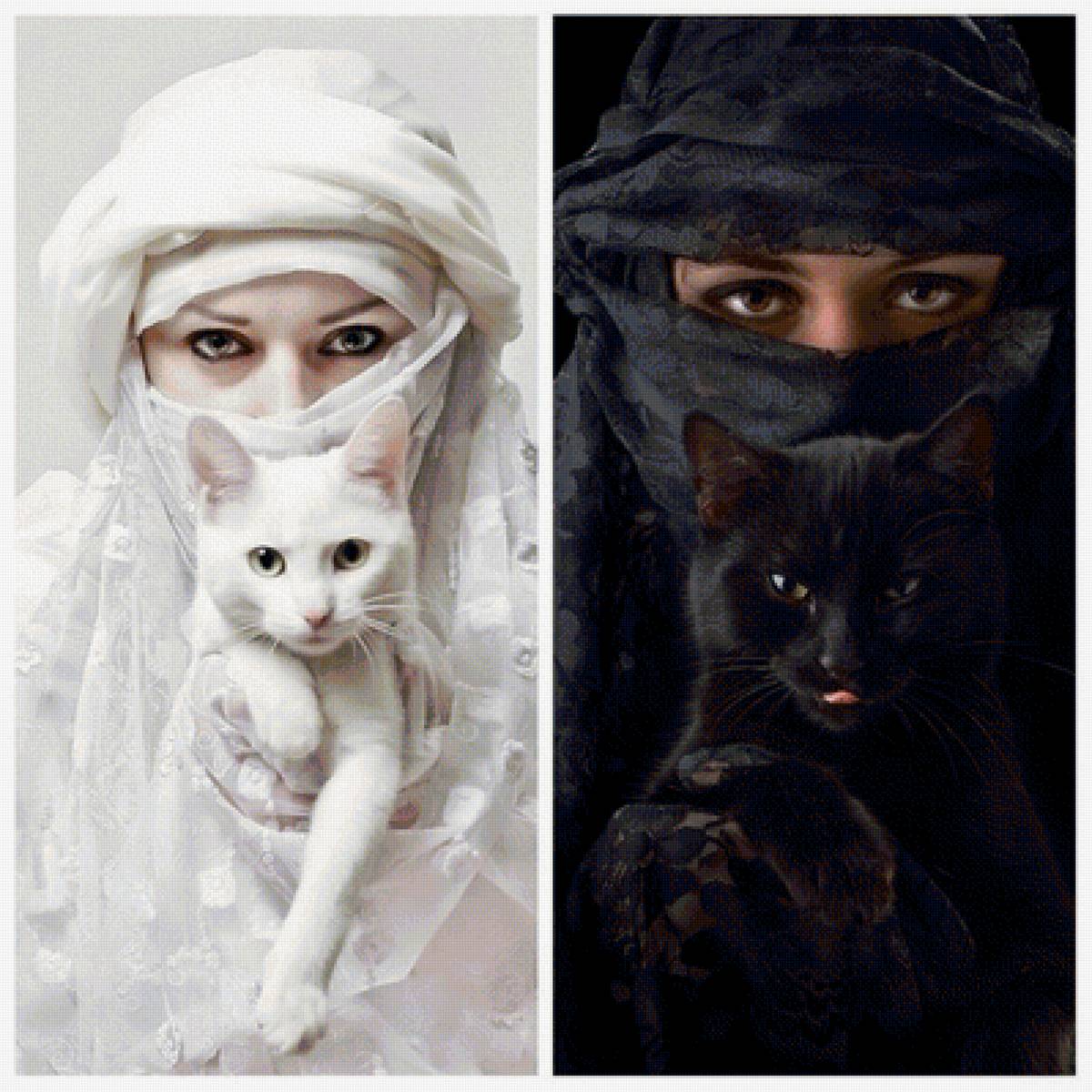 Черное и белое - кошки, черное и белое, восток, добро и зло, женщины - предпросмотр