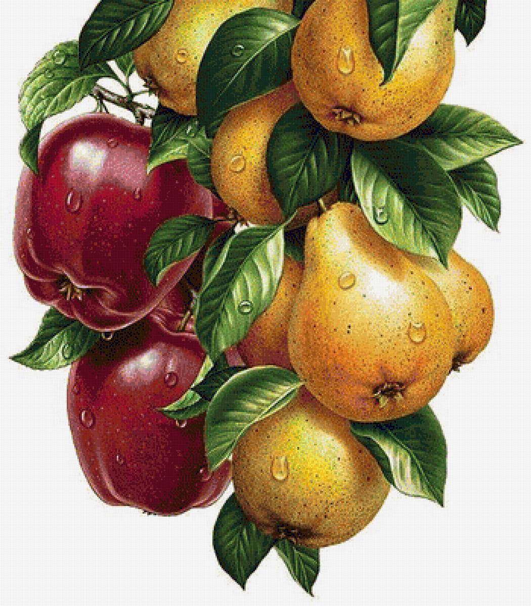 Ассорти - на кухню, фрукты - предпросмотр