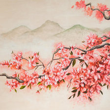 ветка сакуры