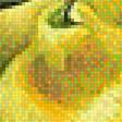 Предпросмотр схемы вышивки «Худ. Андрианов Андрей. Натюрморт с лимонами.» (№1326233)