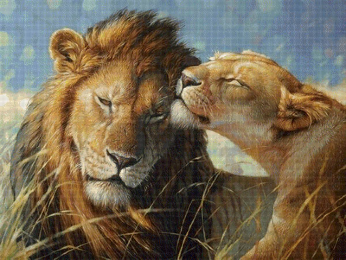 Это любовь... - звери, природа, львы - предпросмотр