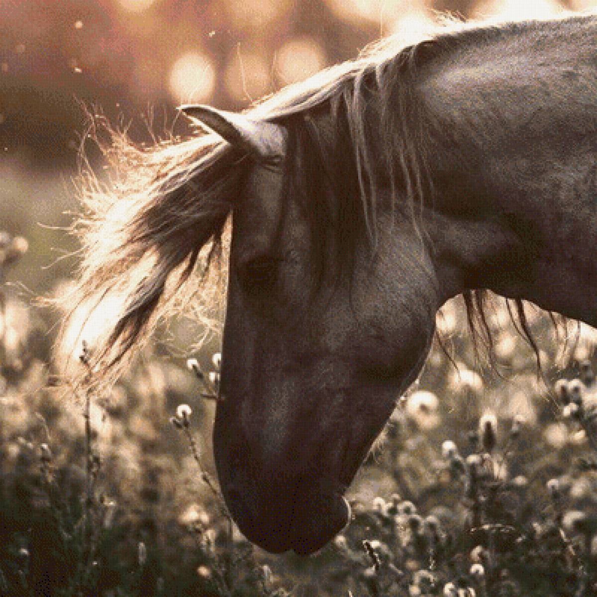 №1326746 - предпросмотр