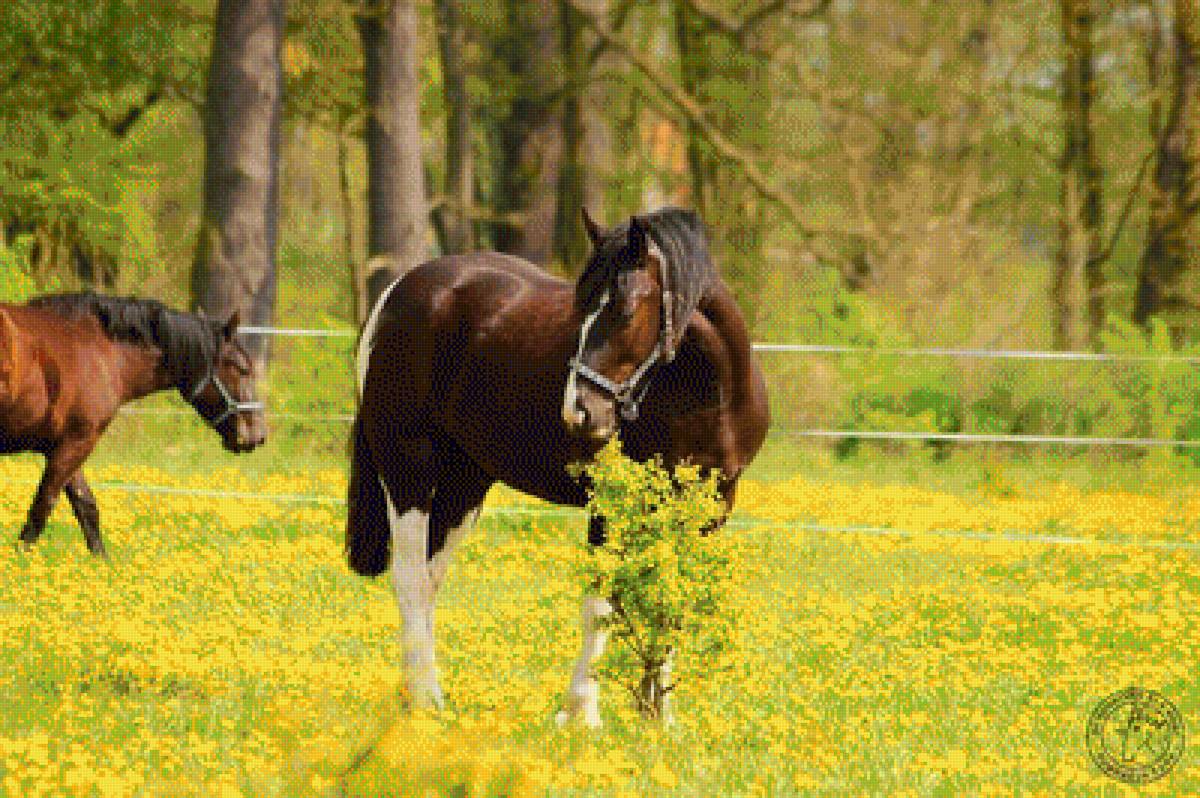 №1326763 - предпросмотр