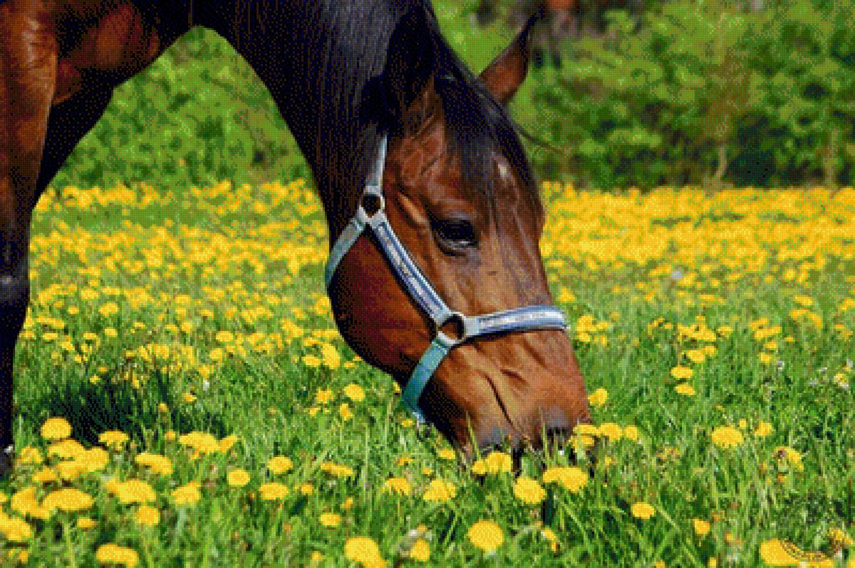 №1326764 - предпросмотр