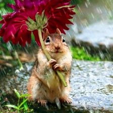 Схема вышивки «№1326811»