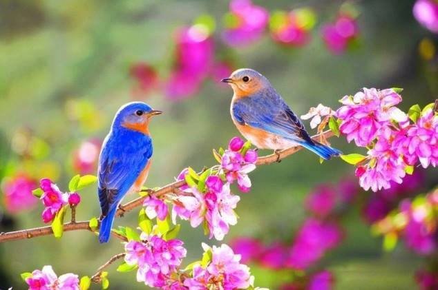 №1326830 - оригинал