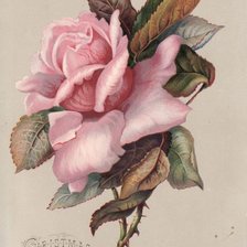 Схема вышивки «№1326847»