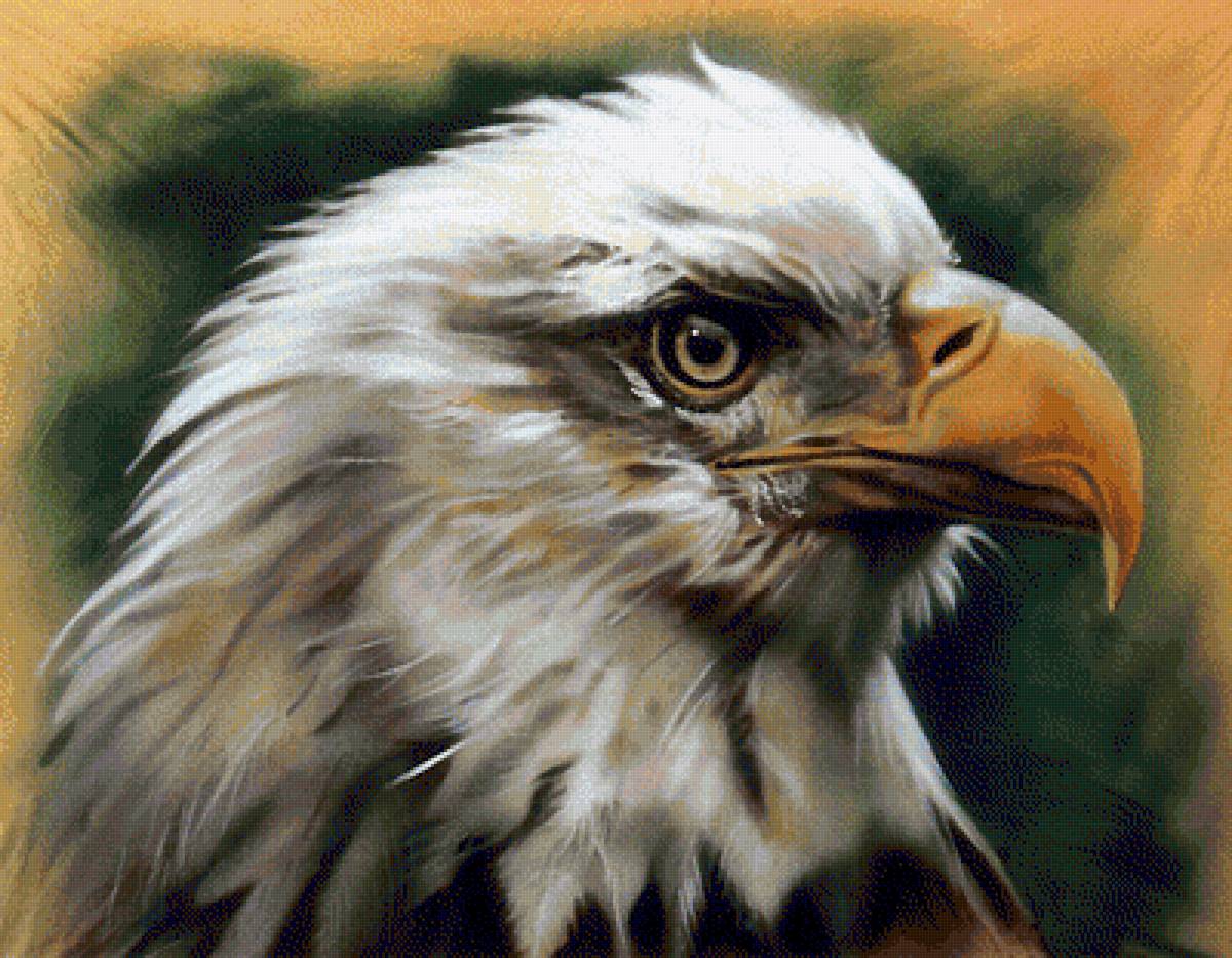 №1326849 - предпросмотр