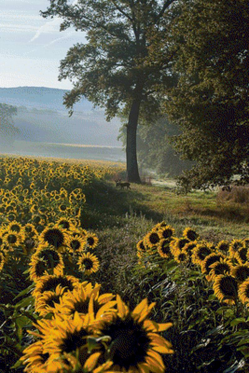 №1326928 - предпросмотр