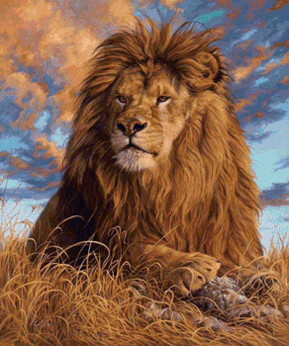 00066 - предпросмотр