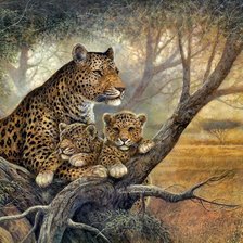 Схема вышивки «00069»