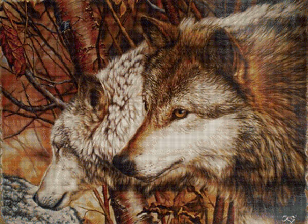 00070 - предпросмотр