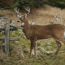 Схема вышивки «00071»