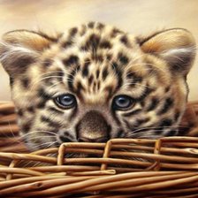 Схема вышивки «00073»