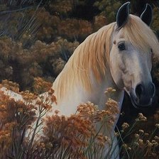 Схема вышивки «№1327395»