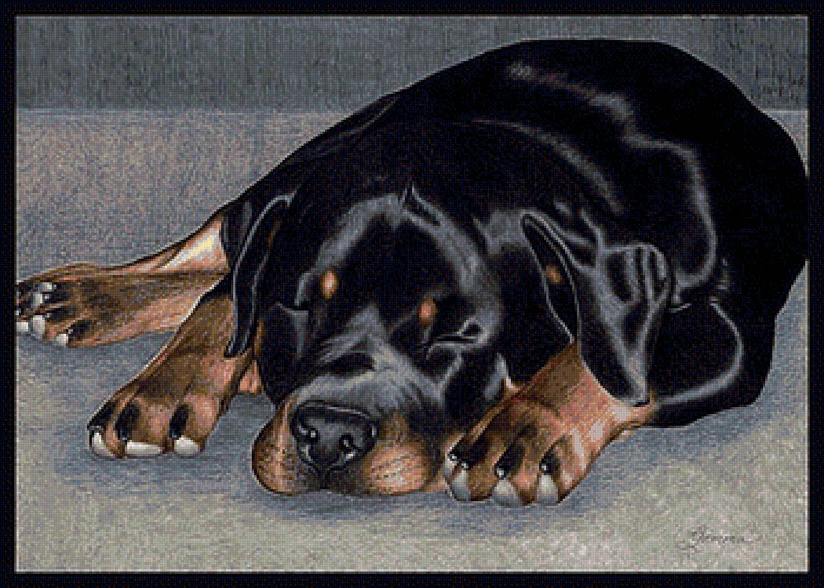 00077 - предпросмотр