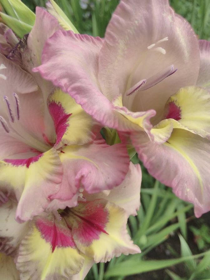 Для Тани - оригинал