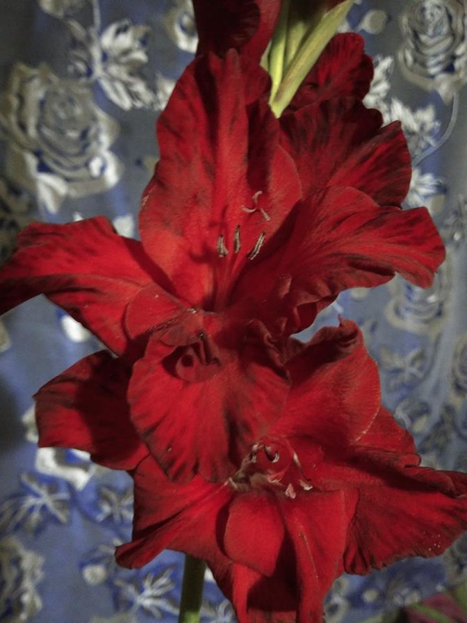 Для Тани 2 - оригинал