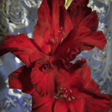 Схема вышивки «Для Тани 2»