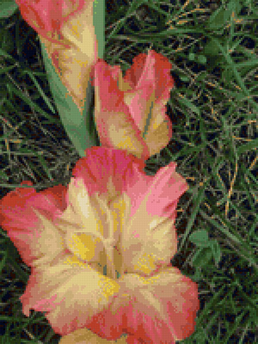 Для Тани 5 - предпросмотр