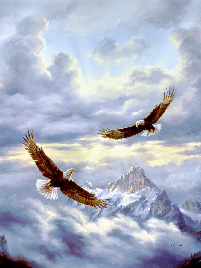 dvaja dravci - оригинал