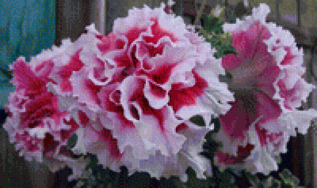 Подарок - цветы - предпросмотр