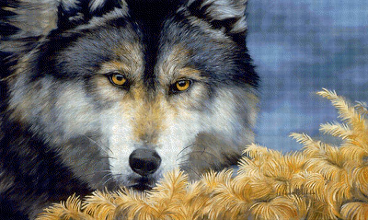 Волк - волки, животные, звери - предпросмотр