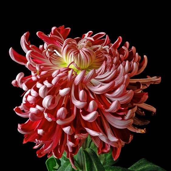 №1328001 - оригинал